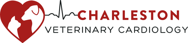 Charleston Veterinary Cardiology